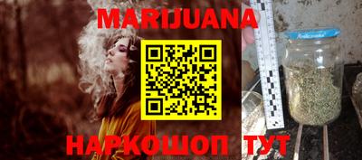 дживик Гай