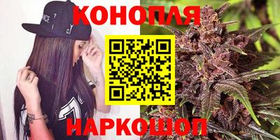 дживик Гай